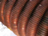 Douglas Hartley Raleigh Durham Solar Energy  Copper Coils 