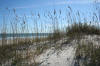 Wrightsville and Wilmington North Carolina Douglas Hartley Raleigh Durham 