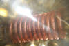 Copper Coil Page Two Raleigh Durham Energy Douglas Hartley